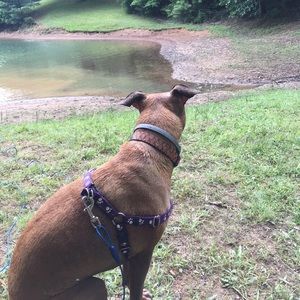 Meet your Posher, Melissa